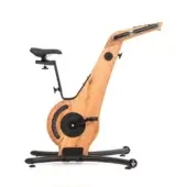 Exercise bike with light wood frame, black metal components, and curved gray legs, featuring a rectangular display and “Oak” branding.