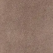 Taupe leather texture with granular pattern, displaying small rounded bumps and a matte finish; includes “pinetti” branding text.