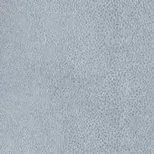 Ari leather texture sample, cool gray, densely packed circular pattern with subtle sheen and granular surface.