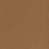 Camel full-grain leather texture with dense grain, smooth sheen, and subtle indentations; warm, muted tone, even lighting.