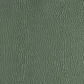 Oil-green leather texture with a dense, pebbled grain and matte finish, displaying subtle tonal variations and a slightly rough, natural appearance.