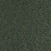 Hunter green Cairo leather texture with a dense, repeating pebble-grain pattern and subtle sheen; Pinetti brand detail imprinted.