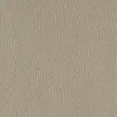 Taupe leather texture with a dense pebbled grain, exhibiting subtle tonal variations; Pinetti Cairo leather, identified as style 048.