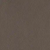 Brown leather texture with a dense pebbled grain, matte finish, and subtle tonal variations; Pinetti Cairo leather, Earth color.