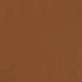 Camel leather texture sample, fine grain pattern, matte finish, warm tone, natural imperfections, suitable for upholstery applications.