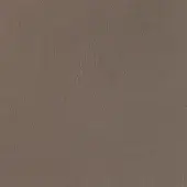 Pinetti London leather texture in taupe 048, displaying a smooth grain pattern with subtle tonal variations and a matte sheen.