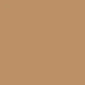 Nocciola leather texture, warm muted brown color, matte finish, uniform flat surface, diffuse lighting, consistent tone throughout the composition.