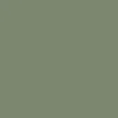 Oil green matte leather expanse, consistent tone, Pinetti Antibes 016 collection, solid color background, no texture or hue variation.