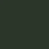Hunter green leather color field, matte finish, uniform tone identified as Pinetti 082 – Antibes Leather 017, no texture or light variation visible.