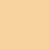 Peach leather texture sample with a matte finish, displaying a consistent warm tone and fine grain; labeled “pinetti > 082 – antibes leather > 043 – peach”.