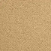 Pinetti leather texture, Malaga nocciola 008, dense granular surface with small bumps and matte beige tone.