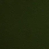 Hunter green leather texture with a dense, bumpy pattern and matte finish, suggesting durability and a handcrafted quality; pinetti malaga leather.