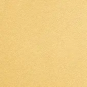 Peach leather texture sample displaying a granular, pebble-like surface with Pinetti branding; Malaga leather, color 043.