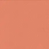 Coral embossed texture with irregular lines and granular patterns, displaying a muted tone and matte finish suitable for upholstery.