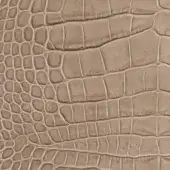 Alligator skin texture leather sample in light sand color, featuring repeating rectangular scales and rounded bumps with a matte finish.