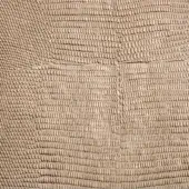 Platinum pinetti leather texture with repeating rectangular scales, horizontal rows, metallic sheen, silvery-grey tone, dense pattern.