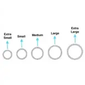 Size chart illustrating five concentric circles labeled Extra Small to Extra Large with blue arrows, on a white background.