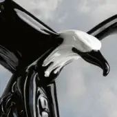 Eagle sculpture, black and white ceramic, outstretched wings, glossy finish, stylized curves, contrasting head and neck, diffused lighting.