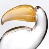 Glass toucan sculpture, clear body, gold beak, metallic texture, curved form, modern design, white background, art object.