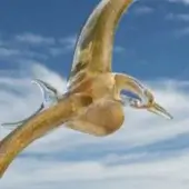 Blown glass seagull sculpture, transparent and gold, with outstretched wings in flight against a blue sky backdrop.