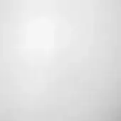 White and light gray gradient background, diffused illumination from upper left, smooth surface, minimalist composition, neutral aesthetic.
