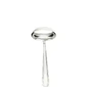 Silver sauce ladle with rounded bowl, ridged handle, and rosette detail, presented on a white background with diffused lighting.