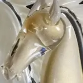Glass horse head sculpture, gold flecked interior, slender neck, white & black cloud backdrop, glossy finish, studio lighting.