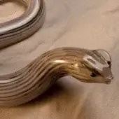 Glass snake sculpture, brown and gold striped, coiled form on beige textured fabric, translucent glass with dark bead eyes.