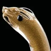 Glass snake sculpture, clear with gold flecks, elongated head and curved neck against black backdrop.