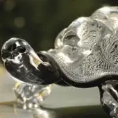 Glass tortoise sculpture, transparent with dark accents, featuring swirling texture and stylized legs against a dark green backdrop.