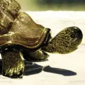 Glass tortoise figurine, mottled green and gold, detailed shell pattern, glossy finish, displayed on a light textured surface.