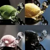 Glass tortoise figurines, green, gold, pink, black, with silver bases, arranged in a grid, showcasing translucent shells and reflective surfaces.
