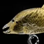 Gold glass fish sculpture, textured scales, clear fins, on clear glass wave base, amber hue, dark eye detail, black background.