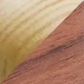 Canaletto and ash wood surfaces displayed diagonally, contrasting reddish-brown grain with creamy-yellow smooth texture, featuring a linear mark.