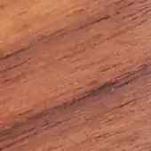 Canaletto walnut wood texture displaying warm brown tones, diagonal linear grain, smooth polished surface, and subtle fissures.