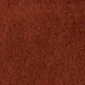 Terracotta texture sample displaying a dense, granular surface with uneven particles and subtle tonal variations in a muted earthy hue.