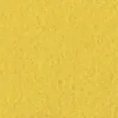 Golden yellow granular texture, uneven surface resembling stucco, consistent tone with subtle light variations, diffused studio lighting.
