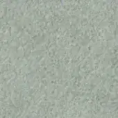 Muted celadon texture with a dense, irregular granular pattern and matte finish, displaying a soft pale green color with cool undertones.