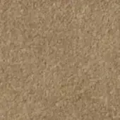 Earthy texture sample, warm beige and tan tones, granular composition with uneven, bristly surface and diffused lighting.