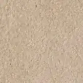 Light beige granular texture with a matte finish, displaying an uneven surface of small particles and a warm, neutral tone under diffused lighting.