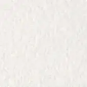 Granular texture sample in off-white, displaying irregular particle composition with a matte, uniformly distributed and slightly rough surface.