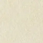 Ivory texture sample displaying a fine, granulated surface with a dense particle distribution and matte finish, featuring subtle tonal variations.