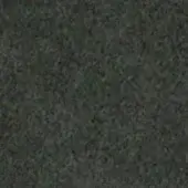Dark gray-green textured surface with a granular, mottled appearance and uneven, felt-like quality; “lichen” text visible.