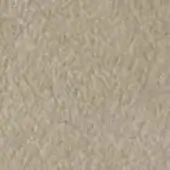 Pale sand short-pile textile texture with muted beige and gray tones, displaying a dense, uniformly fibrous, matte surface.