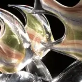 Glass sculpture featuring translucent fish-like forms in pale green, peach, and gold, with curving surfaces against a black backdrop.