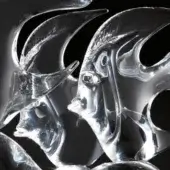 Transparent glass fish and angel sculptures displayed against black, featuring flowing shapes, detailed fins, and refracted light.