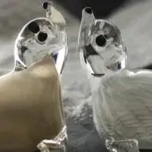 Glass seal figurines, pale gold and transparent white, curved necks, smooth reflective surface, dark circular eyes, soft diffused lighting.