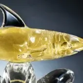 Glass tiger shark sculpture, clear with gold inclusions, streamlined form and black fin detailing, against a dark gray backdrop.