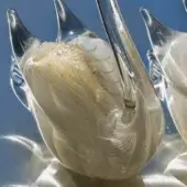 Glass swan sculptures, white and gold, with curved necks and pearlescent bodies featuring gold flecks on a reflective blue surface.