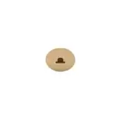 Brass canopy with brushed finish, circular form, and centered dark cylindrical sculptural detail against a white backdrop.